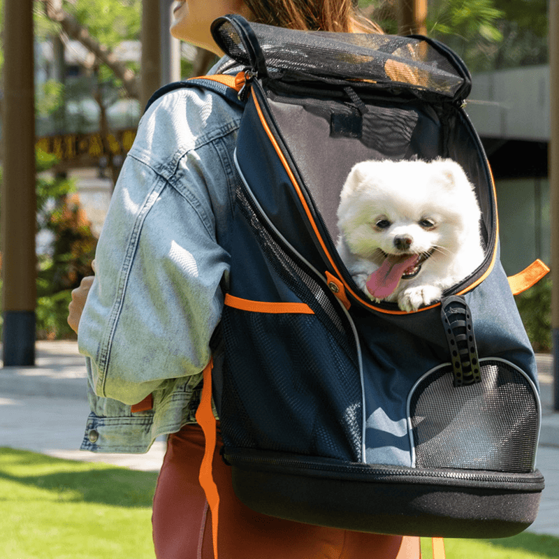 Ibiyaya Ultralight-Pro Backpack Pet Carrier, Navy Blue